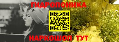 стаф Аргун
