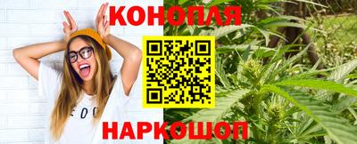 сатива Апшеронск