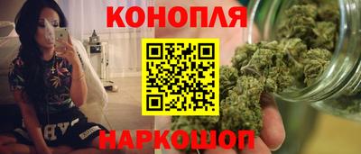 стаф Аргун
