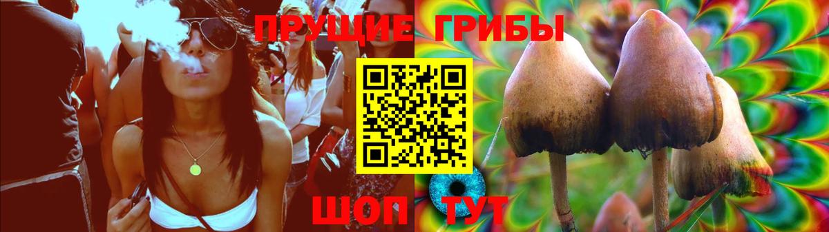Псилоцибиновые грибы мицелий Борзя